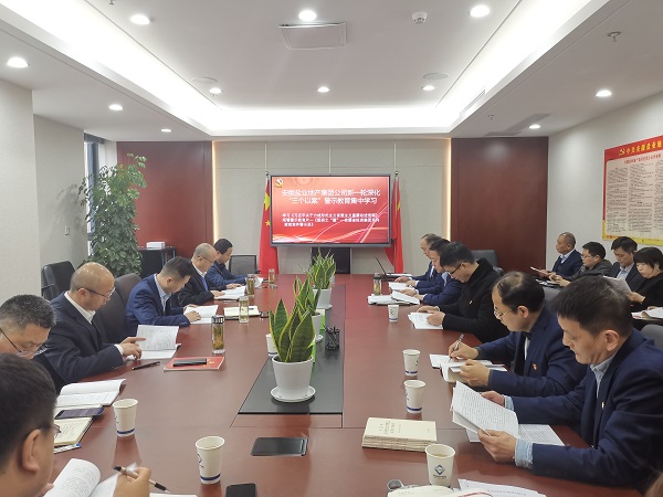 安徽鹽業(yè)地產(chǎn)集團(tuán)公司開展新一輪深化“三個(gè)以案”警示教育集中學(xué)習(xí)